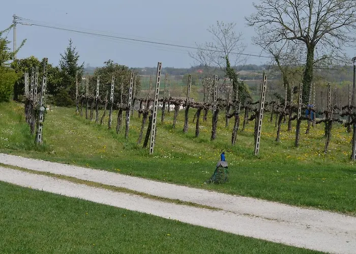 Agriturismo Dondino